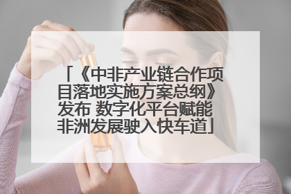 《中非产业链合作项目落地实施方案总纲》发布 数字化平台赋能非洲发展驶入快车道