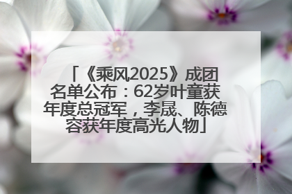 《乘风2025》成团名单公布：62岁叶童获年度总冠军，李晟、陈德容获年度高光人物