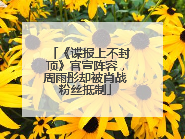 《谍报上不封顶》官宣阵容，周雨彤却被肖战粉丝抵制