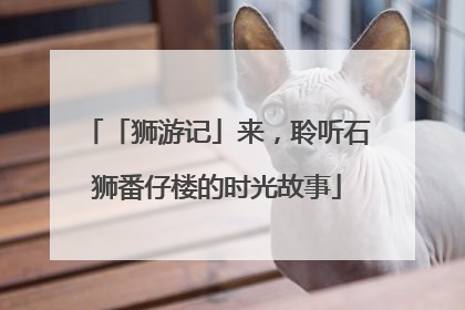 「狮游记」来，聆听石狮番仔楼的时光故事