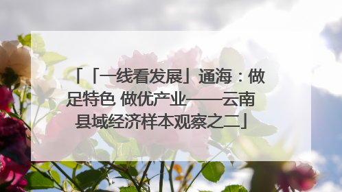 「一线看发展」通海：做足特色 做优产业——云南县域经济样本观察之二
