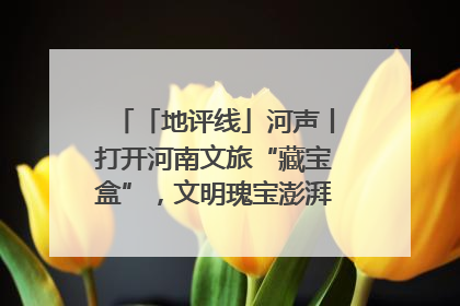 「地评线」河声丨打开河南文旅“藏宝盒”，文明瑰宝澎湃发展“豫动能”
