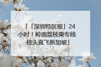 「深圳特区报」24小时！岭南荔枝乘专线 枝头直飞新加坡