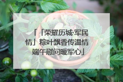 「荣耀历城·军民情」粽叶飘香传温情 端午慰问暖军心
