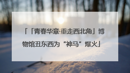 「青春华章·重走西北角」博物馆丑东西为“神马”爆火