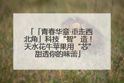 「青春华章·重走西北角」科技“智”造！天水花牛苹果用“芯”甜透你的味蕾
