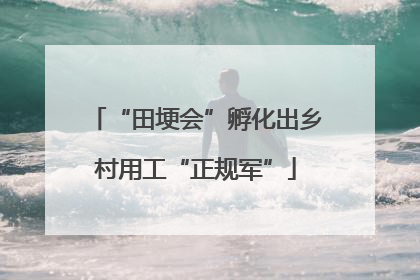 “田埂会”孵化出乡村用工“正规军”