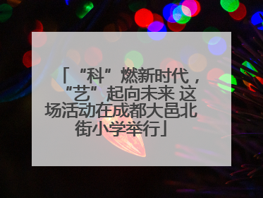 “科”燃新时代，“艺”起向未来 这场活动在成都大邑北街小学举行