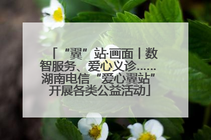 “翼”站·画面丨数智服务、爱心义诊……湖南电信“爱心翼站” 开展各类公益活动