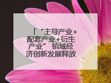 “主导产业+配套产业+衍生产业” 镇域经济创新发展释放强劲发展动能
