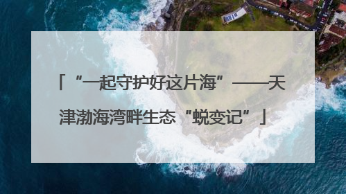 “一起守护好这片海”——天津渤海湾畔生态“蜕变记”