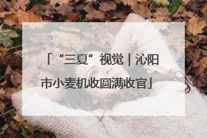 “三夏”视觉｜沁阳市小麦机收圆满收官