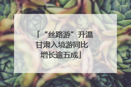 “丝路游”升温 甘肃入境游同比增长逾五成