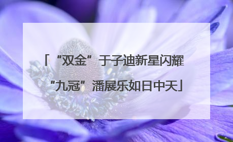 “双金”于子迪新星闪耀 “九冠”潘展乐如日中天
