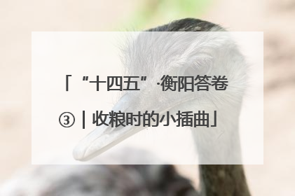 “十四五”·衡阳答卷③｜收粮时的小插曲