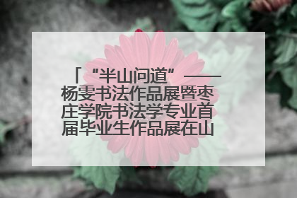 “半山问道”——杨雯书法作品展暨枣庄学院书法学专业首届毕业生作品展在山东省文化馆开幕