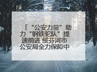 “公安力量”助力“钢铁驼队”提速前进 绥芬河市公安局全力保障中欧班列“东通道”绥芬河隧道贯通