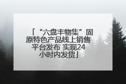 “六盘丰物集”固原特色产品线上销售平台发布 实现24小时内发货