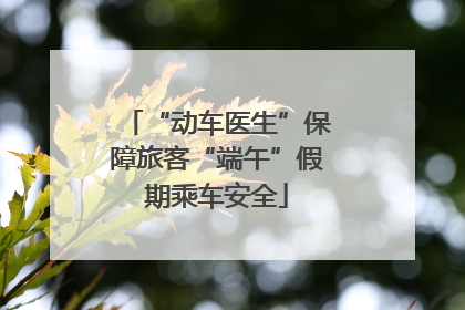 “动车医生”保障旅客“端午”假期乘车安全