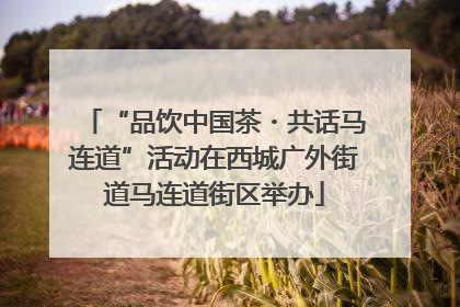 “品饮中国茶・共话马连道”活动在西城广外街道马连道街区举办