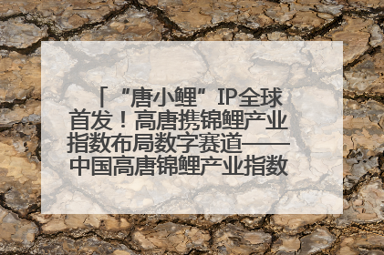 “唐小鲤”IP全球首发！高唐携锦鲤产业指数布局数字赛道——中国高唐锦鲤产业指数暨“唐小鲤”IP全球首发仪式在杭州举行
