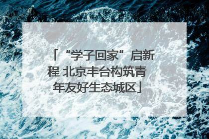 “学子回家”启新程 北京丰台构筑青年友好生态城区