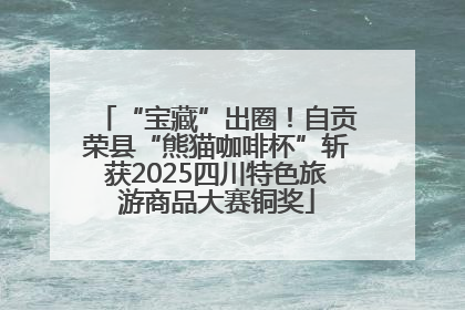 “宝藏”出圈！自贡荣县“熊猫咖啡杯”斩获2025四川特色旅游商品大赛铜奖