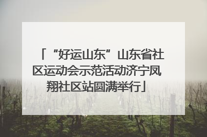 “好运山东”山东省社区运动会示范活动济宁凤翔社区站圆满举行