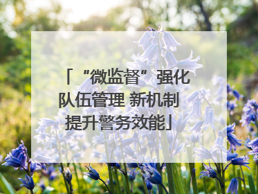 “微监督”强化队伍管理 新机制提升警务效能