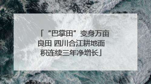 “巴掌田”变身万亩良田 四川合江耕地面积连续三年净增长