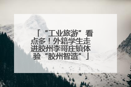 “工业旅游”看点多！外籍学生走进胶州李哥庄镇体验“胶州智造”