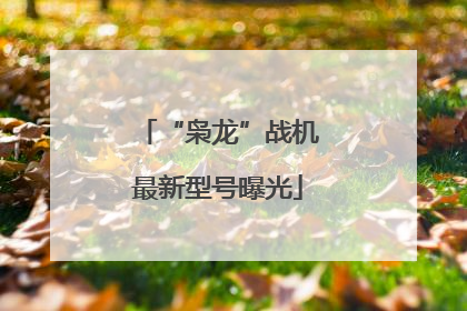 “枭龙”战机最新型号曝光