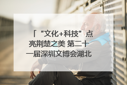 “文化+科技”点亮荆楚之美 第二十一届深圳文博会湖北馆抢“鲜”看
