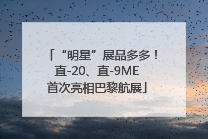 “明星”展品多多！直-20、直-9ME首次亮相巴黎航展