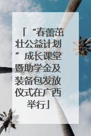 “春蕾茁壮公益计划”成长课堂暨助学金及装备包发放仪式在广西举行