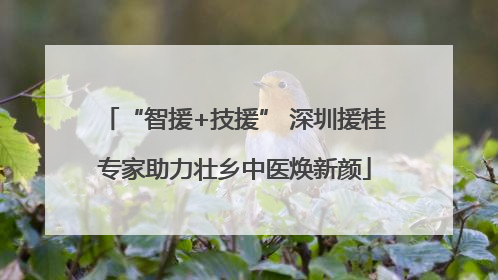 “智援+技援” 深圳援桂专家助力壮乡中医焕新颜