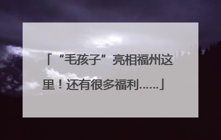 “毛孩子”亮相福州这里！还有很多福利……