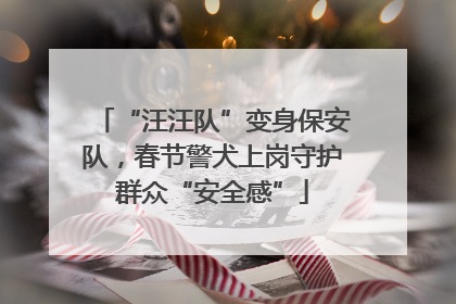 “汪汪队”变身保安队，春节警犬上岗守护群众“安全感”