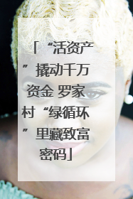 “活资产”撬动千万资金 罗家村“绿循环”里藏致富密码