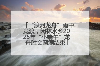 “浪河龙舟”雨中竞渡，闲林水乡2025年“小端午”龙舟胜会圆满结束