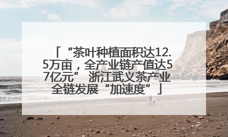 “茶叶种植面积达12.5万亩，全产业链产值达57亿元” 浙江武义茶产业全链发展“加速度”