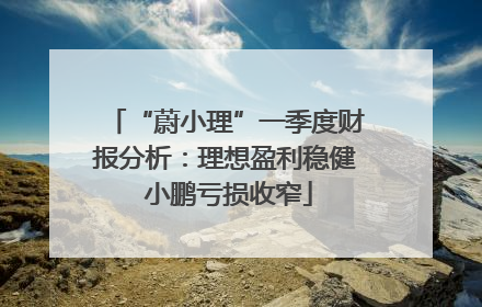 “蔚小理”一季度财报分析：理想盈利稳健 小鹏亏损收窄