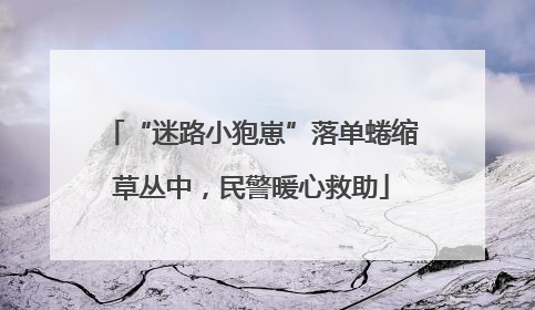 “迷路小狍崽”落单蜷缩草丛中，民警暖心救助