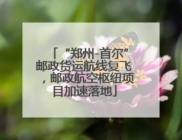 “郑州-首尔”邮政货运航线复飞，邮政航空枢纽项目加速落地