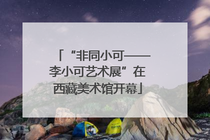 “非同小可——李小可艺术展”在西藏美术馆开幕