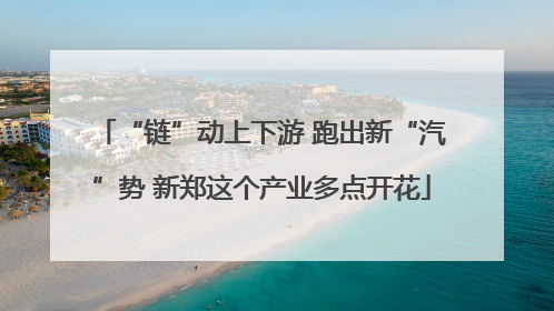 “链”动上下游 跑出新“汽”势 新郑这个产业多点开花
