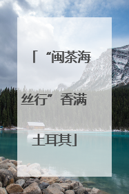 “闽茶海丝行”香满土耳其