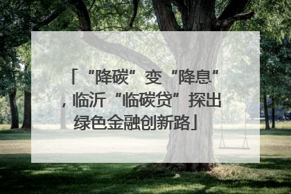 “降碳”变“降息”，临沂“临碳贷”探出绿色金融创新路
