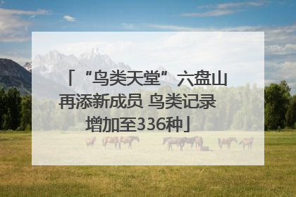 “鸟类天堂”六盘山再添新成员 鸟类记录增加至336种