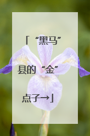 “黑马”县的“金”点子→